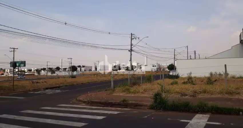 Terreno disponível para locação no bairro alto umuarama em uberlândia-mg