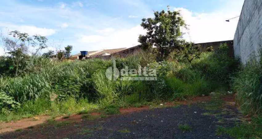 Terreno disponível para locação no bairro dona zulmira em uberlândia-mg