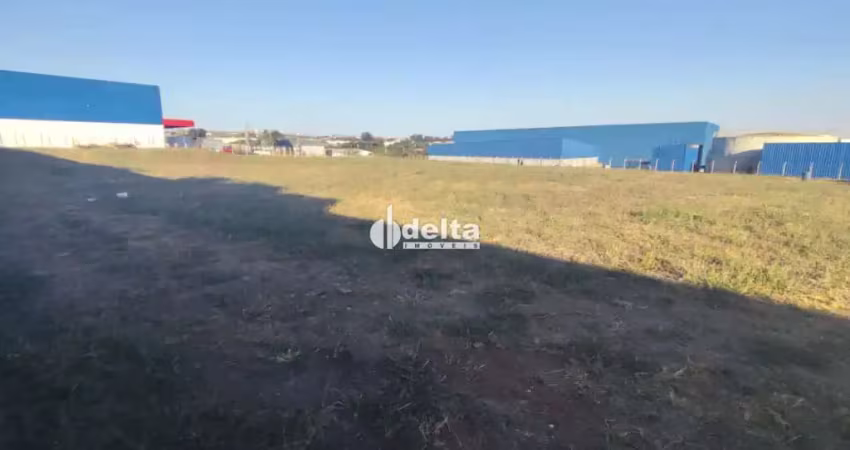 Terreno comercial disponível para locação no setor industrial em uberlândia - mg