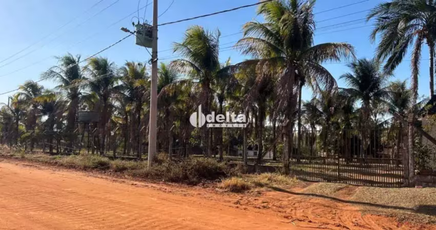 Chácara com 3 quartos disponível para locação no bairro jockey camping em uberlândia-mg.