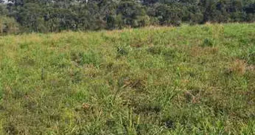 Chácara / sítio à venda na Estrada Salto Do Engenho, Centro, Campo Alegre