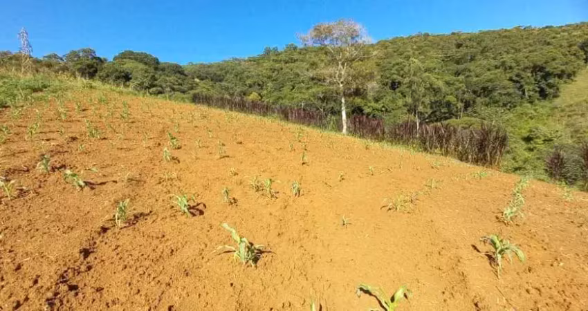 Sítio para venda em são pedro de alcântara/sc - si133