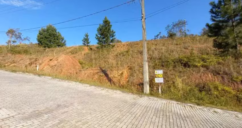 Terreno para venda centro são pedro de alcântara - te86
