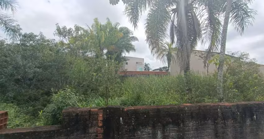 Terreno para venda em itanhaém, jardim das palmeiras