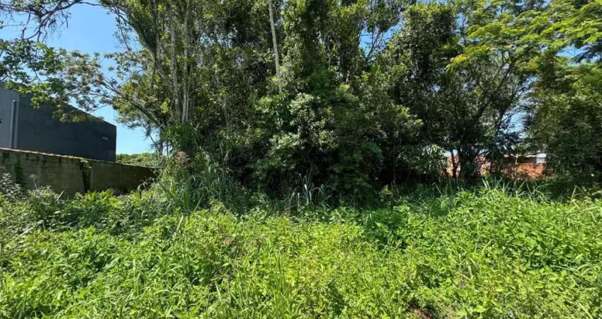 Terreno à venda no Palmeiras II, Itanhaém 
