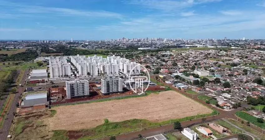 Terreno à venda, 30.600 m² por r$ 9.000.000 - indústrias leves - londrina/pr