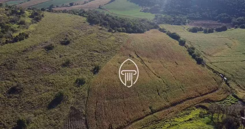 Sítio à venda, 484000 m² por r$ 2.000.000,00 - zona rural - assaí/pr