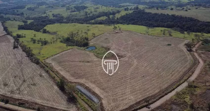 Sítio à venda, 22 alqueires por r$ 4.400.000 - zona rural - jataizinho/pr