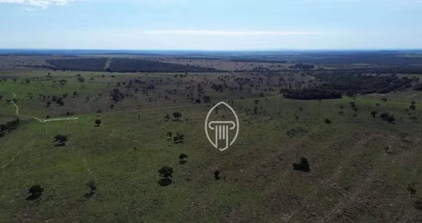 Fazenda à venda, 700 hectares por r$ 17.500.000 - zona rural - coxim/ms