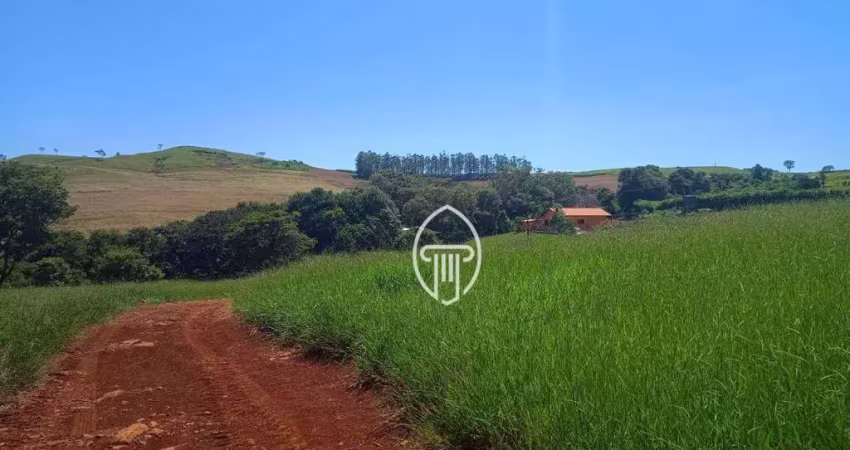 Sítio à venda, 16 alqueires por r$ 3.000.000 - rural - urai/pr