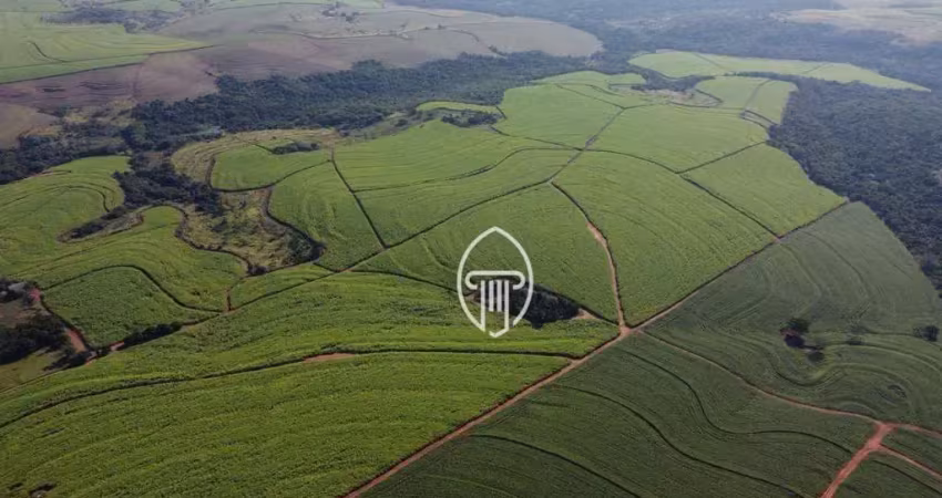 Fazenda à venda, 397 alqueires por r$ 108.000.000 - zona rural - porecatu/pr