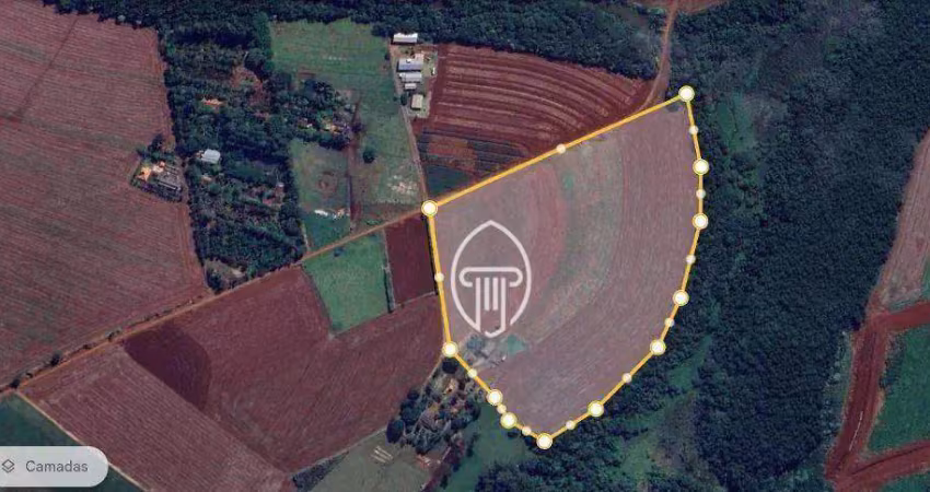 Sítio à venda, 6 alqueires por r$ 4.800.000 - zona rural - cambé/pr
