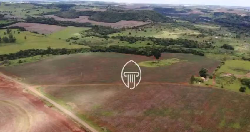 Fazenda à venda, 77 alqueires por r$ 19.000.000 - rural - jataizinho/pr