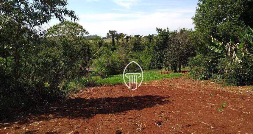Chácara à venda, 3000 m² por r$ 280.000 - zona rural - londrina/pr