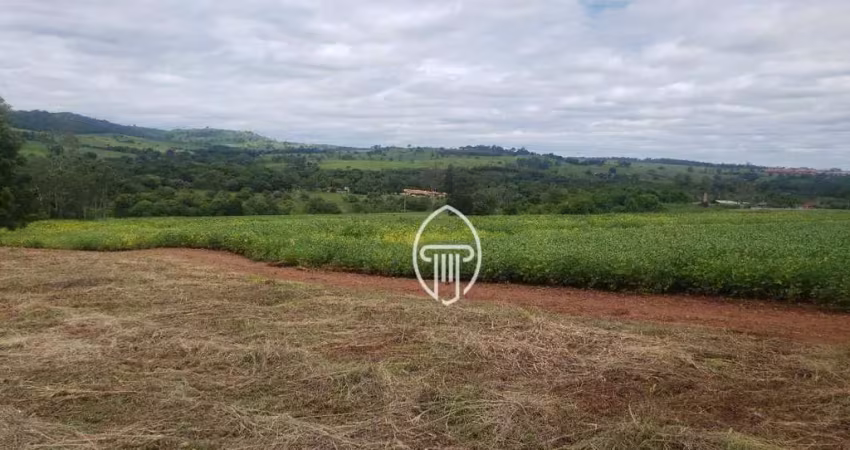 Chácara à venda, 1 alqueire por r$ 590.000 - zona rural - ibiporã/pr