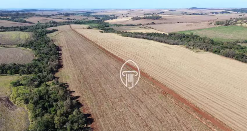 Fazenda à venda, 110 alqueires por r$ 38.500.000 - zona rural - cornélio procópio/pr