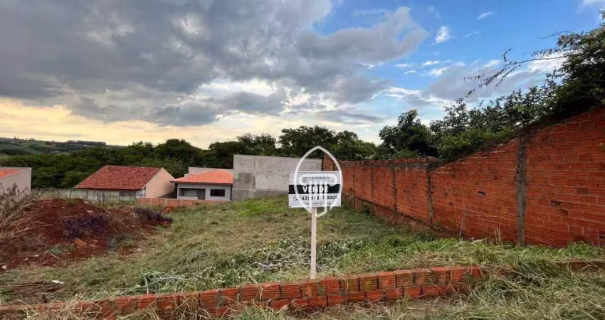 Terreno à venda, 250 m² por r$ 130.000,00 - vila romana - ibiporã/pr