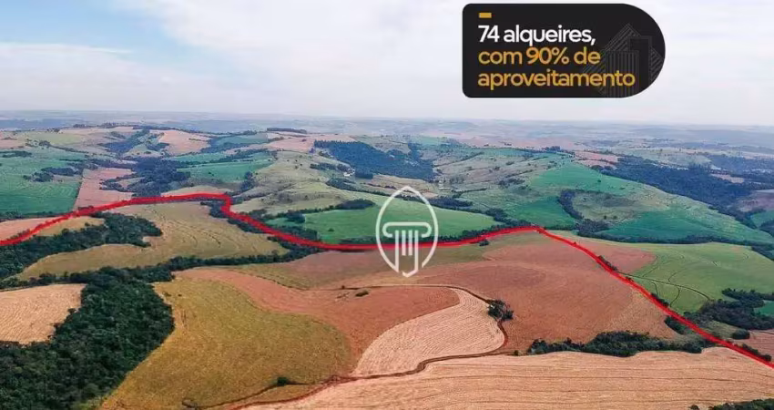 Fazenda à venda, 73 alqueires por r$ 23.000.000 - zona rural - cascavel/pr