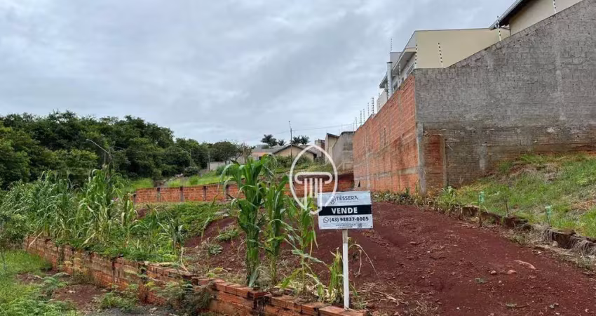 Terreno à venda, 530 m² por r$ 250.000,00 - vila romana - ibiporã/pr
