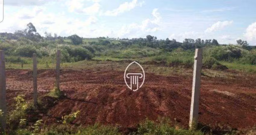 Terreno à venda, 4250 m² por r$ 350.000,00 - jataizinho  - jataizinho/pr