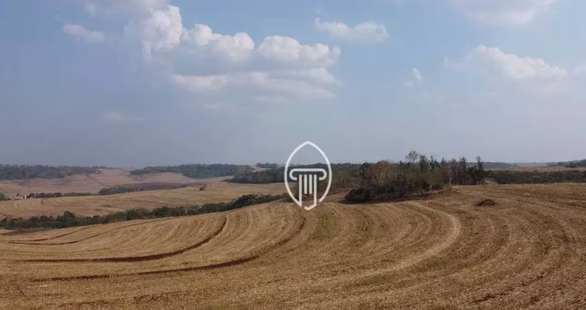 Fazenda à venda, 85 alqueires por r$ 25.650.000 - sertanópolis/pr