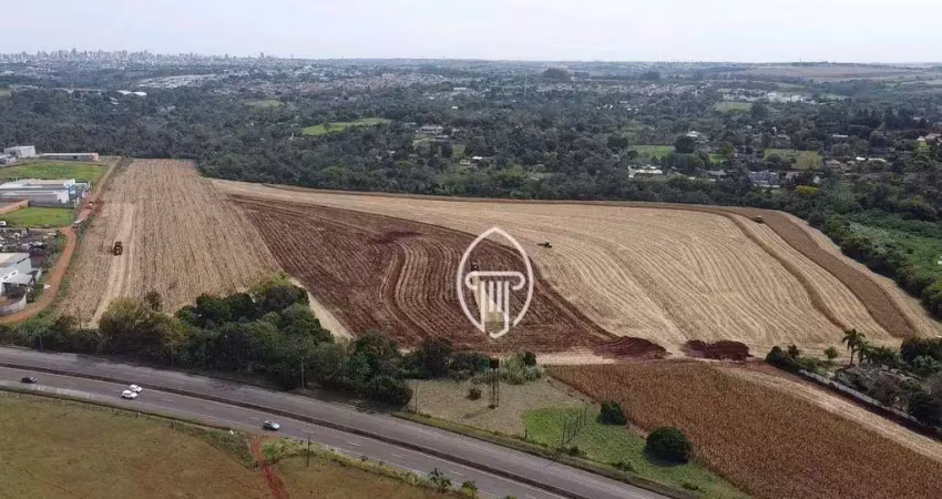 Área à venda, 205700 m² por r$ 14.000.000,00 - parque industrial buena vista - londrina/pr