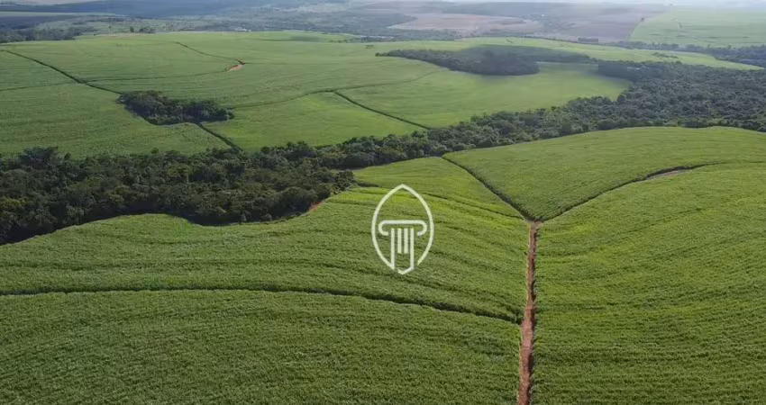 Fazenda à venda, 147,25 alqueires m² por r$ 28.000.000 - zona rural - porecatu/pr