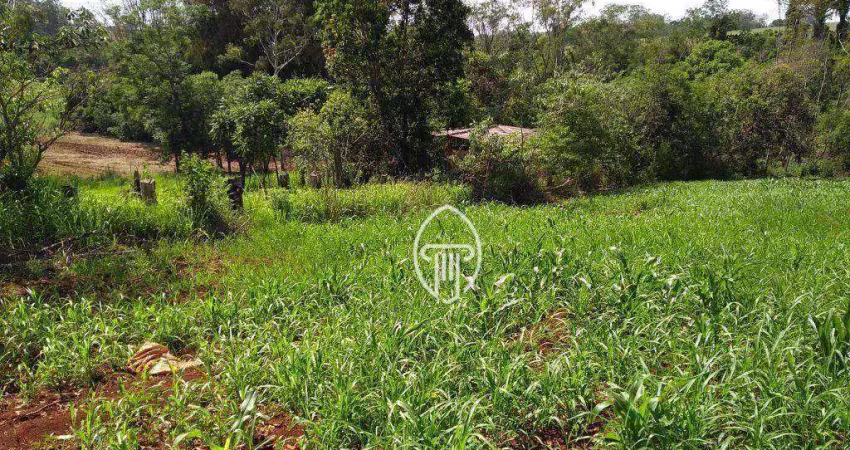 Chácara à venda, 3000 m² por r$ 270.000 - zona rural - londrina/pr