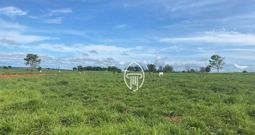 Fazenda à venda, 7.173 hectares por r$ 180.000.000 - zona rural - coxim/ms