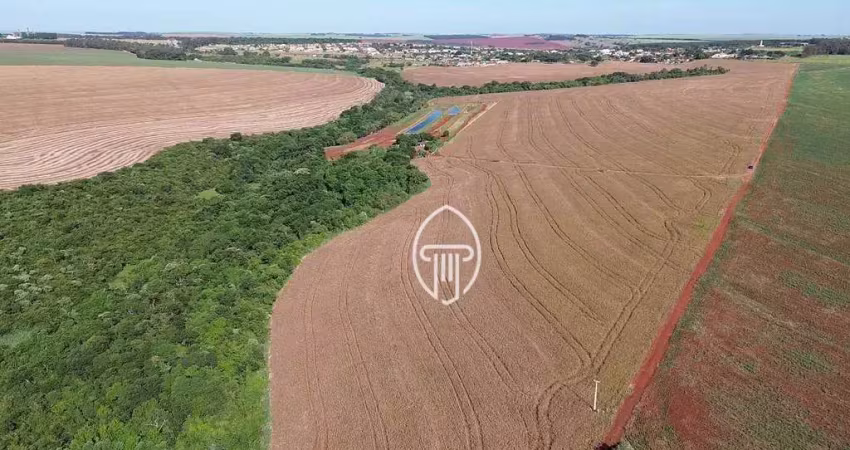 Fazenda à venda, 62.3 alqueires por r$ 19.000.000 - zona rural - prado ferreira/pr