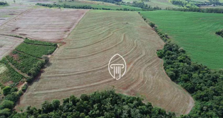 Sítio à venda, 10 alqueires por r$ 3.200.000 - rural - sertanópolis/pr