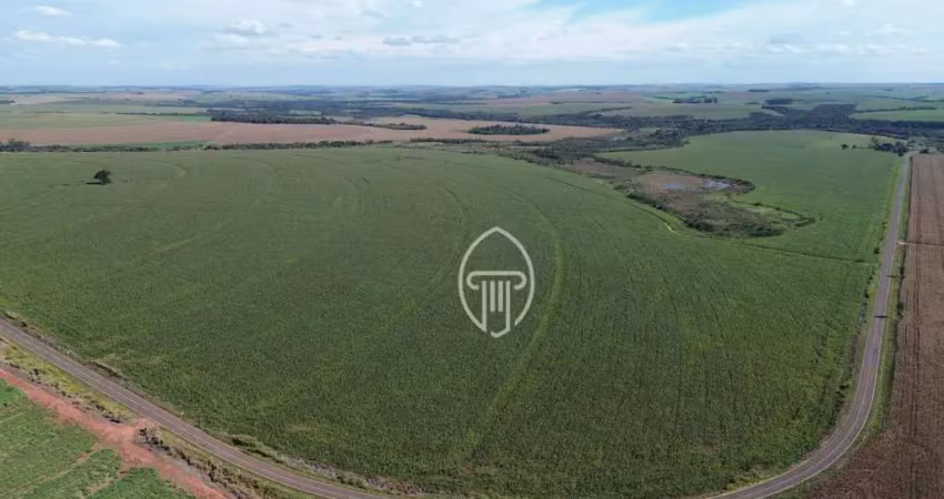 Fazenda à venda, 270 alqueires por r$ 63.200.000 - bairro oeste da jacutinga - mariluz/pr