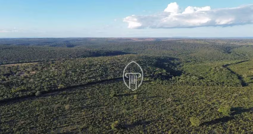Fazenda à venda, 8340 hectares por r$ 166.800.000 - zona rural - coxim/ms