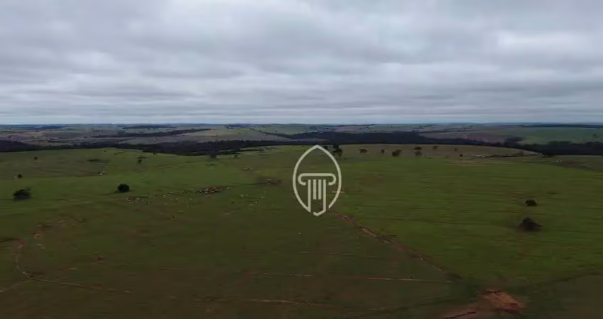 Fazenda à venda, 971 alqueires por r$ 145.650.000 - jardim brasil - cruzeiro do oeste/pr
