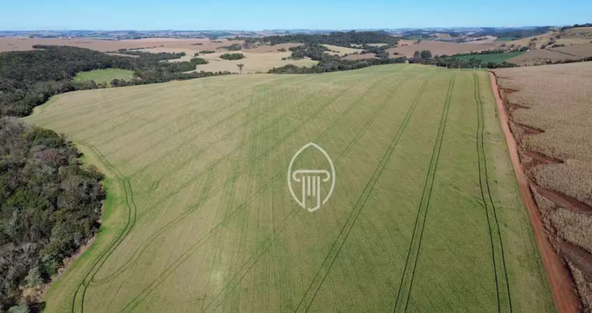 Fazenda à venda, 289 alqueires por r$ 72.250.000 - zona rural - londrina/pr