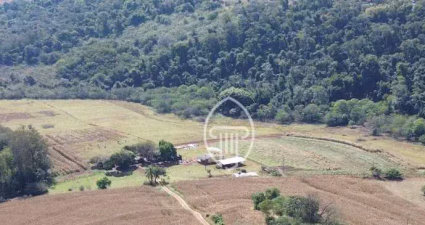 Sítio à venda, 3 alqueires paulistas  por r$ 1.200.000 - zona rural - ibiporã/pr