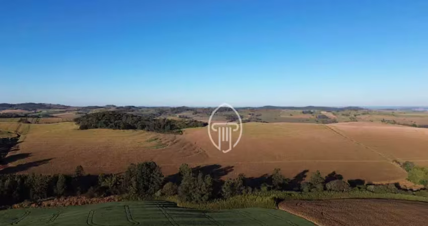 Sítio à venda, 33 alqueires paulistas por r$ 9.900.000 - zona rural - jataizinho/pr