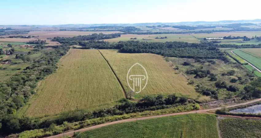 Sítio à venda, 18 alqueires paulistas por r$ 3.500.000 - rural - urai/pr