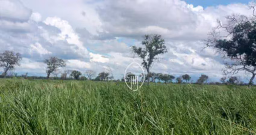 Fazenda à venda, 14.100 hectares por r$ 282.000.000 - rural - rio verde de mato grosso/ms