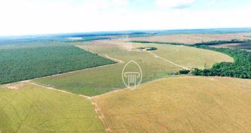Fazenda à venda, 3584 hectares por r$ 170.000.000 - zona rural - presidente kennedy/to
