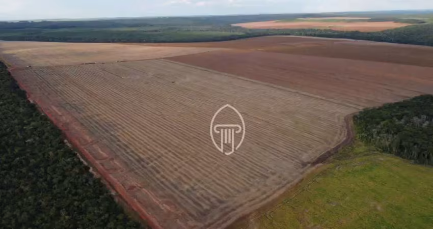 Fazenda à venda, 6402 hectares por r$ 110.000.000 - zona rural - nova mutum/pr