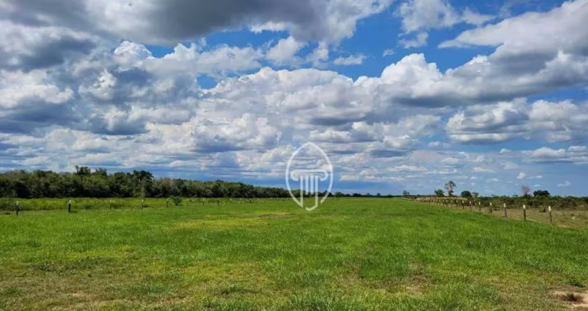 Fazenda à venda, 61350000 m² por r$ 92.000.000 - zona rural - santo antônio do leverger/mt