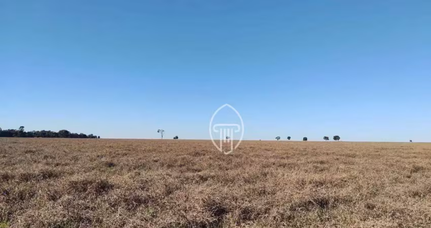 Fazenda à venda, 2070 hectares por r$ 82.800.000 - zona rural - figueirão/ms