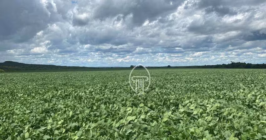Fazenda à venda, 964 hectares por r$ 43.750.000 - zona rural - rosário oeste/mt