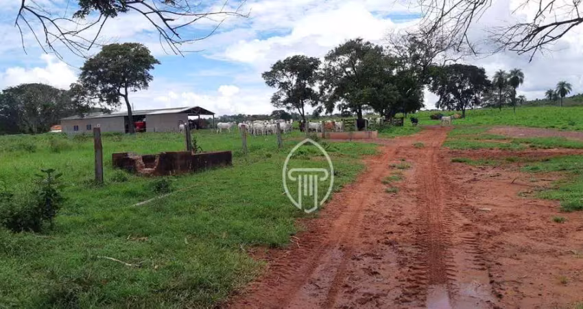 Fazenda à venda, 1600 hectares por r$ 40.000.000 - zona rural - poxoréo/mt