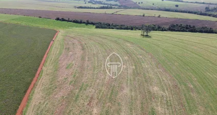 Fazenda à venda, 822800 m² por r$ 6.800.000 - area rural - iporã/pr