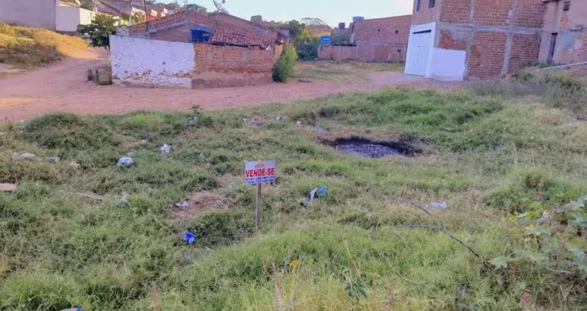 Terreno para venda em pesqueira, loteamento leonardo gomes