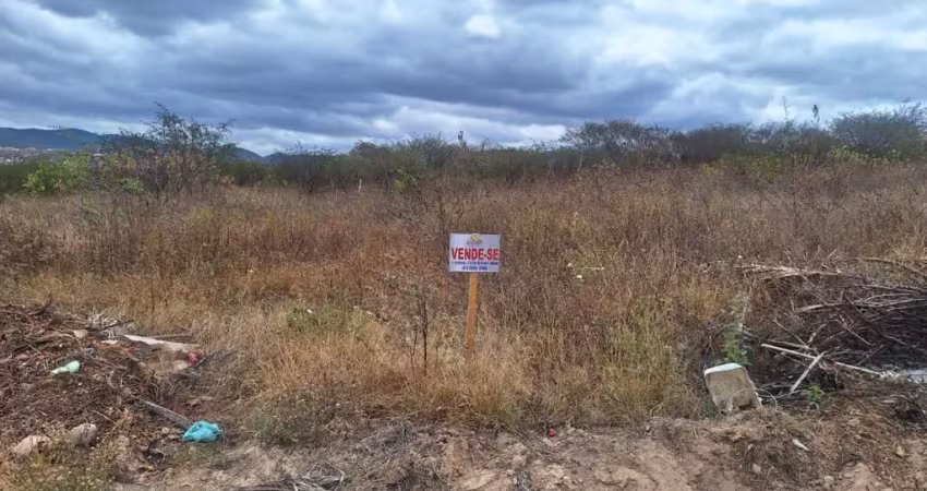 Terreno à venda na As marges da BR 232, Zona Rural, Pesqueira
