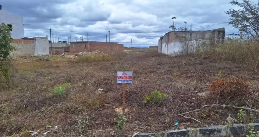 Terreno à venda na Loteamento Miguel Lins de Freitas, Pedra Redonda, Pesqueira