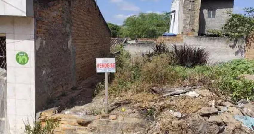 Terreno à venda na Rua Pedro Cupertino  Calú, Prado, Pesqueira